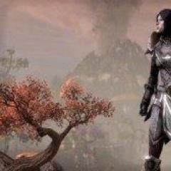 The best armor in Skyrim - light and heavy armor