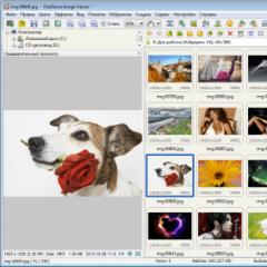 Visualizzatore foto standard Windows 7