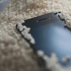 What to do if your mobile phone gets wet