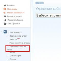 Dogs from VKontakte can be removed How to remove dogs from a group