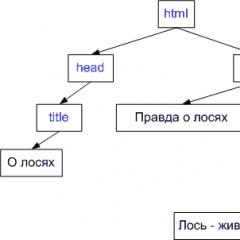 JavaScript DOM Basics