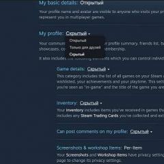 Opening inventory on Steam Open privacy settings on Steam